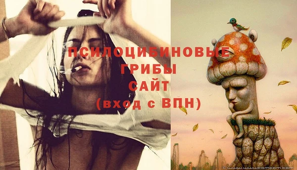 a pvp Армянск