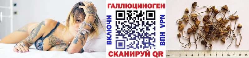 Галлюциногенные грибы GOLDEN TEACHER  Новоульяновск 